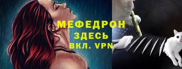 СК Касимов