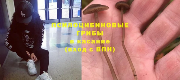 спиды Карпинск