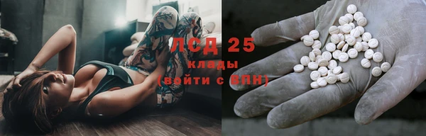 СК Касимов
