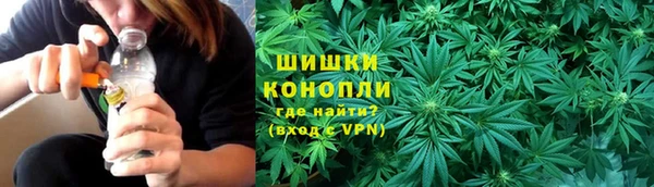 СК Касимов