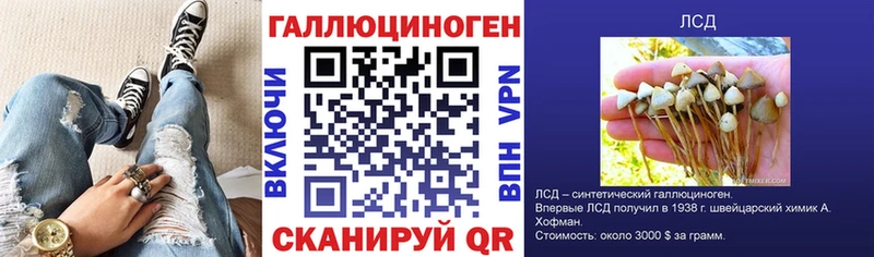 Псилоцибиновые грибы мицелий  Купить  Любань 