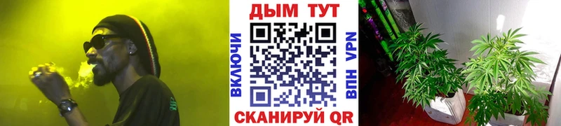 Марихуана индика  Купить  Любань 